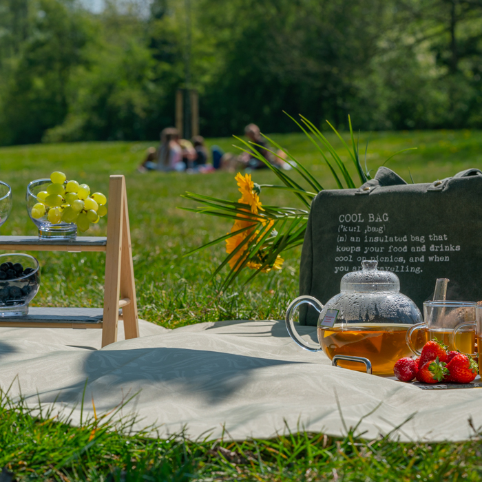 Picknickkleed